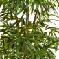 Preview: NATURAL RAPHIS PALM 36304N