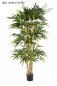 Preview: NEW GIANT BAMBOO TREE 35310N