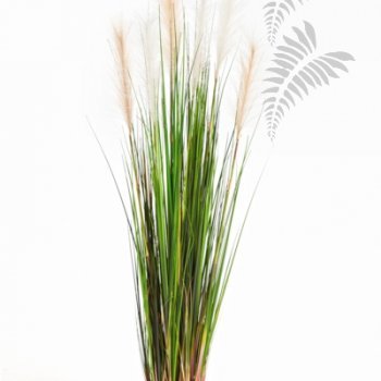 REED GRASS W/CREAM-BROWN FL 1039N-120