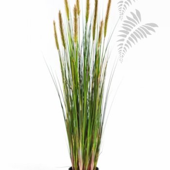 FOXTAIL GRASS W/GREEN FL 120cm 1040L-120