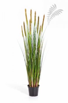 FOXTAIL GRASS W/GREEN FL 120cm 1040L-120