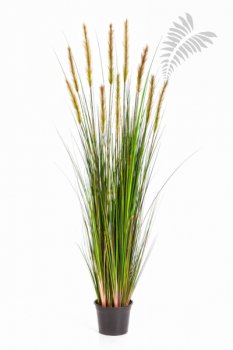 FOXTAIL GRASS W/GREEN FL 150cm 1040L-150