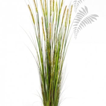 FOXTAIL GRASS W/GREEN FL 180cm 1040L-180