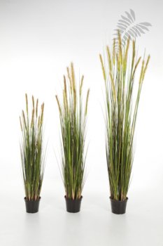 FOXTAIL GRASS W/GREEN FL 90cm 1040L-090