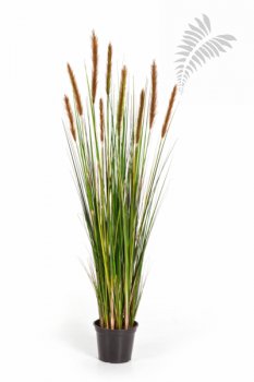 FOXTAIL GRASS W/BROWN FL 120cm 1041B-120
