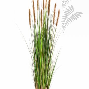 FOXTAIL GRASS W/BROWN FL 1041B-150