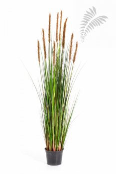 FOXTAIL GRASS W/BROWN FL 1041B-150