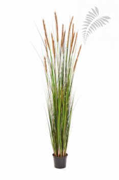 FOXTAIL GRASS W/BROWN FL 180cm 1041B-180