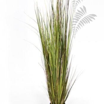 BAMBOO GRASS 1043L