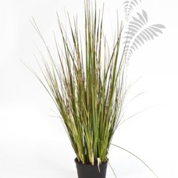 BAMBOO GRASS 1043S