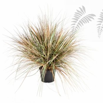 AUTUMN ONION GRASS X 3056-70CM 1049A-L