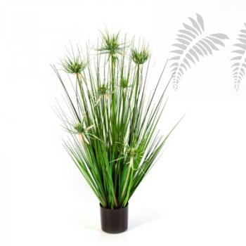 SVR ONION STAR GRASS W/FL 80cm 1090N-080