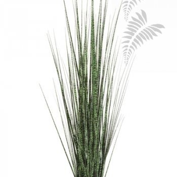 ZEBRA GRACILIS GRASS 90cm 1105N-090