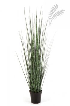 ZEBRA GRACILIS GRASS 90cm 1105N-090