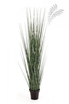 ZEBRA GRACILIS GRASS 120cm 1105N-120