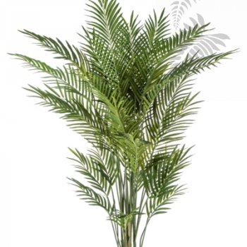 Forest Areca Palm 170cm 1383N