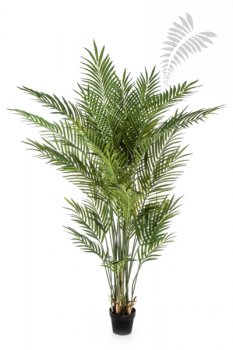 Forest Areca Palm 170cm 1383N