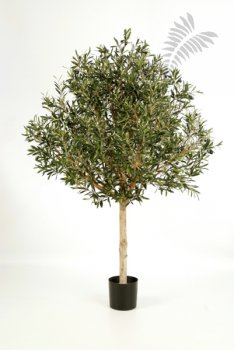 NATURAL OLIVE TOPIARY TREE 180cm 27606N