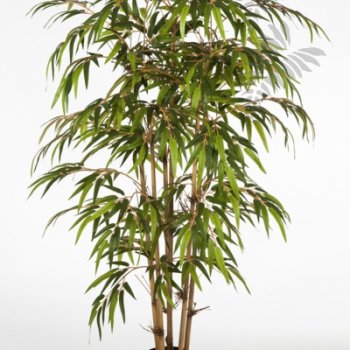 BAMBOO TREE 180cm 34406N