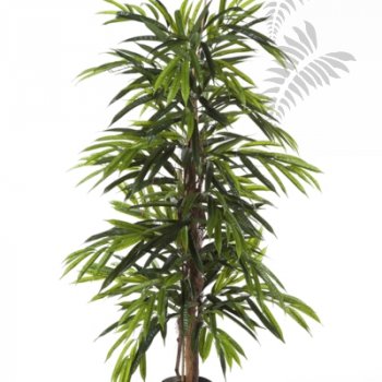 DELUXE LONGIFOLIA TREE 35805N