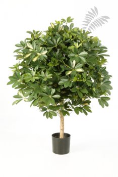 VAR. BALL SCHEFFLERA 110cm 38604NW