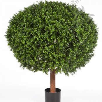 BOXWOOD BALL 100 cm 445XXL