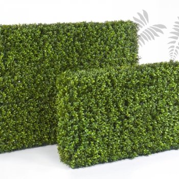 BOXWOOD HEDGE 55X95 CM 44602N