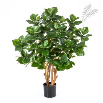 CLUSEA BUSH TREE 85cm 51303N