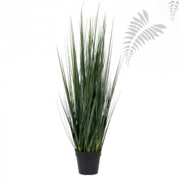 F1004-173-91 Grass in pot L, Green Various  H173