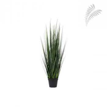 F1004-173-91 Grass in pot L, Green Various  H173