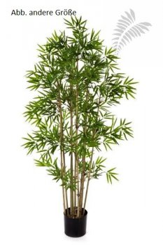 JAPANESE BAMBOO 80cm 34003N