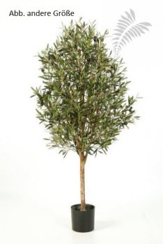 NATURAL OLIVE VINE TREE 170cm 27806N