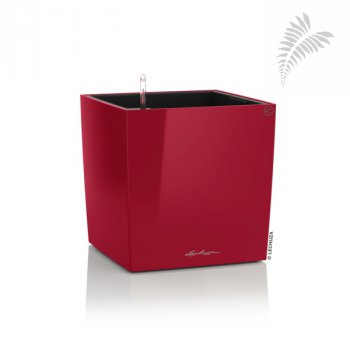 Cube Prem. QU 50 scarlet rot SET -A- 16567