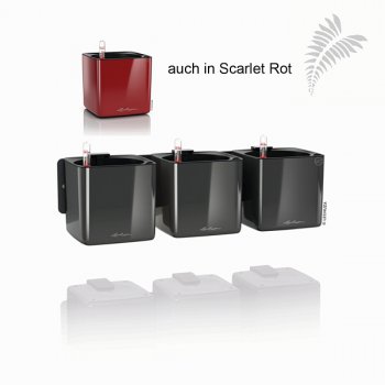 Green Wall Home KIT Glossy scarl rot SET 13525