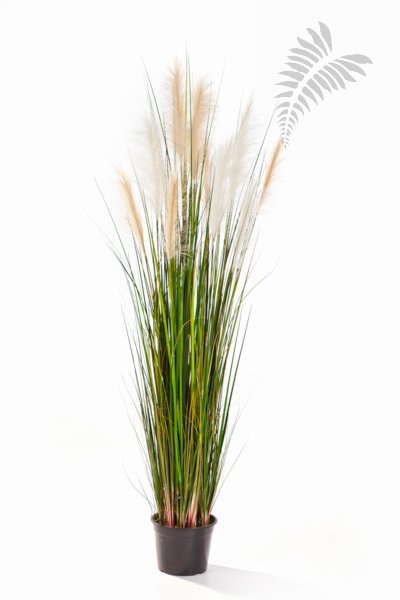 REED GRASS W/CREAM-BROWN FL 1039N-150