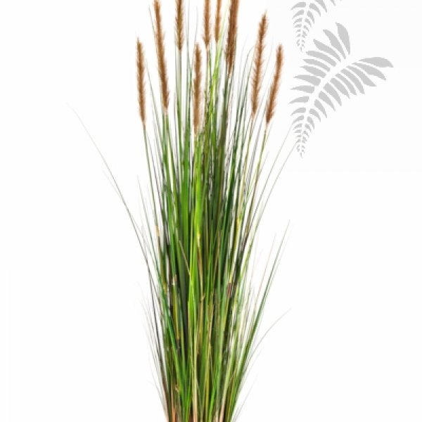 FOXTAIL GRASS W/BROWN FL 1041B-150