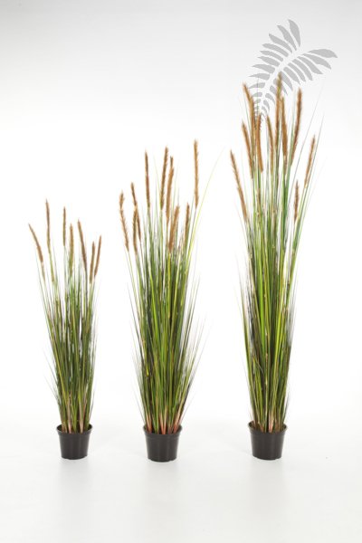 FOXTAIL GRASS W/BROWN FL 90cm 1041B-090