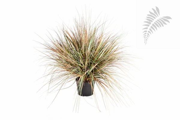 AUTUMN ONION GRASS X 3056-70CM 1049A-L