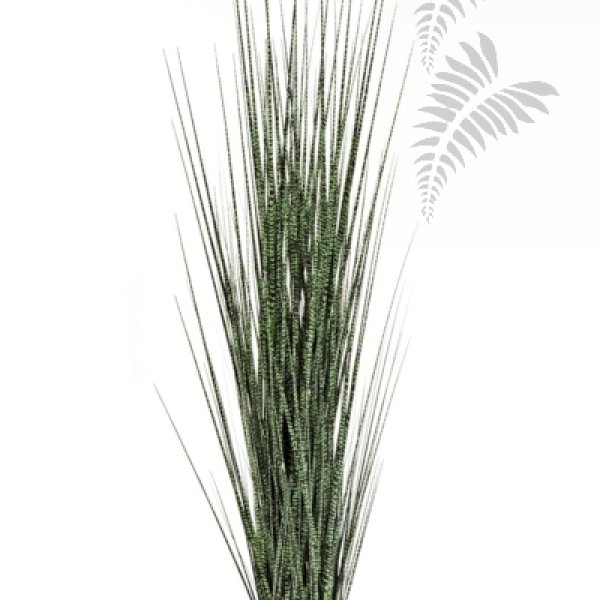 ZEBRA GRACILIS GRASS 120cm 1105N-120