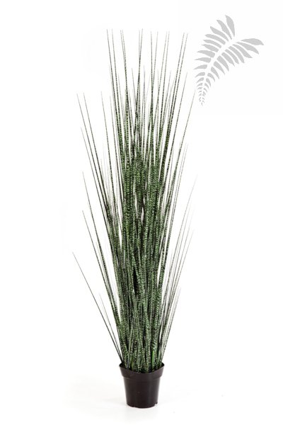 ZEBRA GRACILIS GRASS 120cm 1105N-120