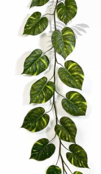 POTHOS GIANT GARLAND X15 230cm 1348XL