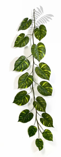 POTHOS GIANT GARLAND X15 230cm 1348XL