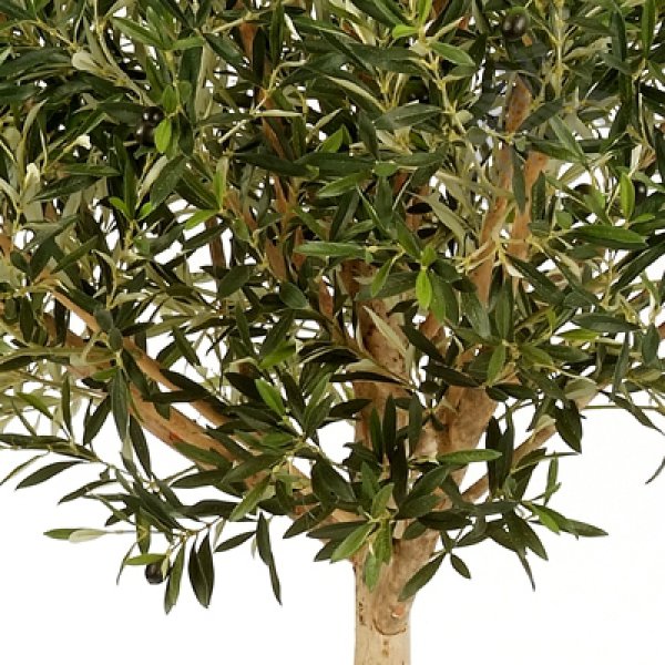 NATURAL OLIVE TOPIARY TREE 150cm 27605N