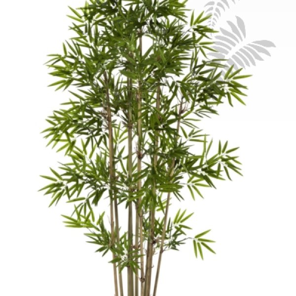 JAPANESE BAMBOO 140cm 34005N