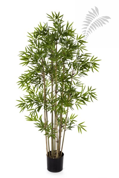 JAPANESE BAMBOO 140cm 34005N