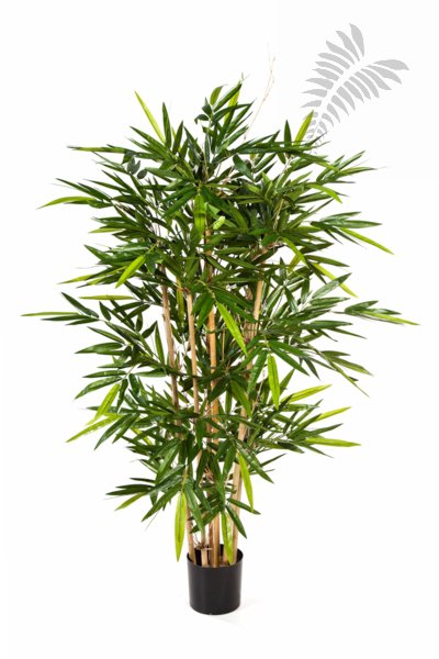 NEW BAMBOO TREE 150cm 34605N