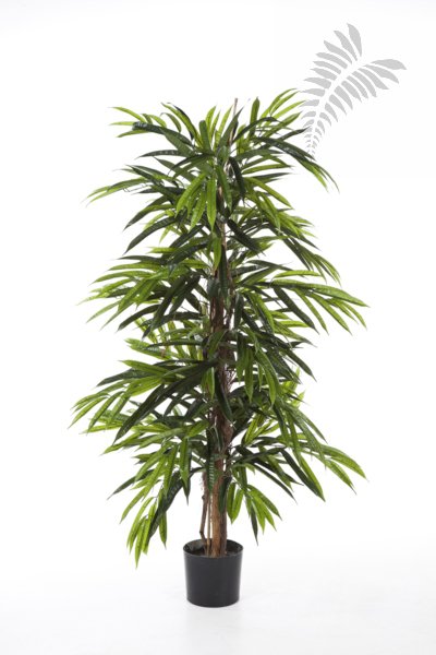 DELUXE LONGIFOLIA TREE 35805N