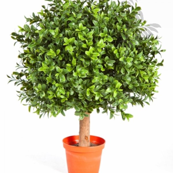 BOXWOOD BALL 30 cm 44530N