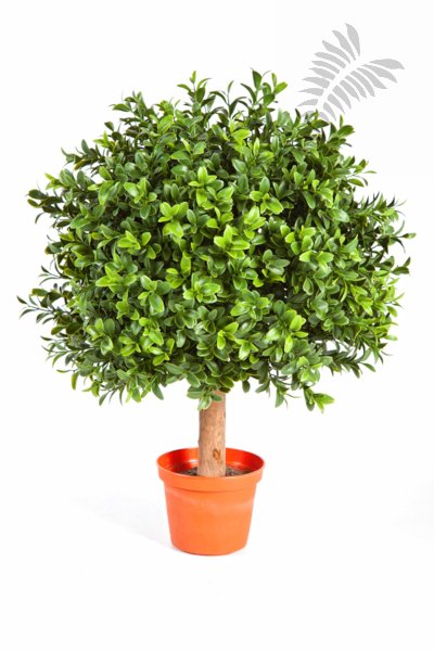 BOXWOOD BALL 30 cm 44530N