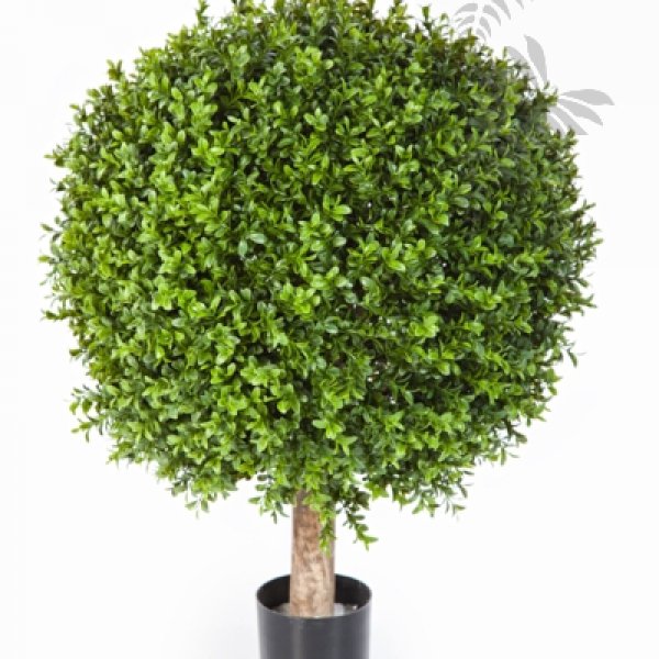 BOXWOOD BALL 60 cm 44560N